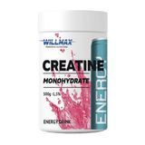 Willmax Creatine Monohydrate (500 g, mango) 000018827 фото