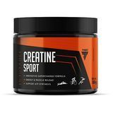 TREC nutrition Creatine Sport (300 g, kiwi) 000025141 фото